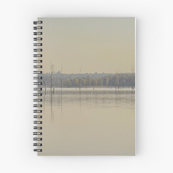 Item preview, Grande Stream Landscape, Flores, Uruguay designed and sold by DFLC Prints.