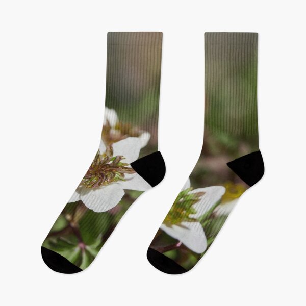 Item preview, The white anemone designed and sold by Jouko Lehto Photography.