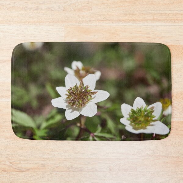 Item preview, The white anemone designed and sold by Jouko Lehto Photography.