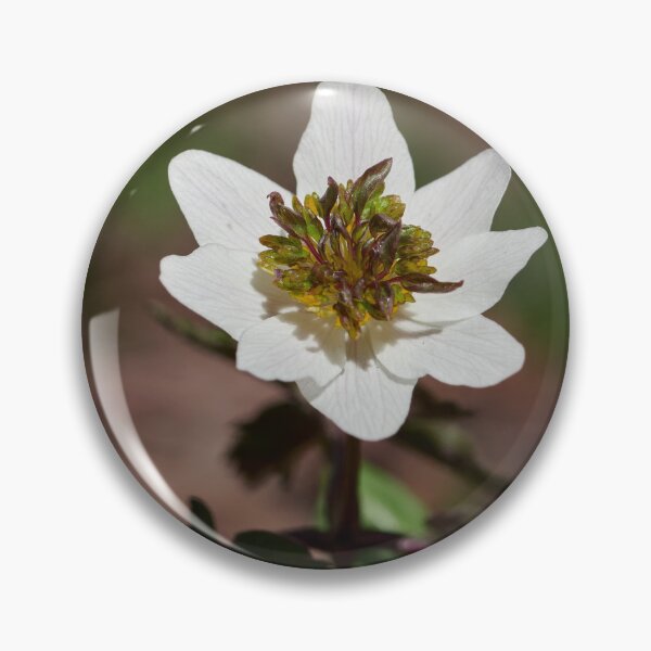 Item preview, The white anemone II designed and sold by Jouko Lehto Photography.
