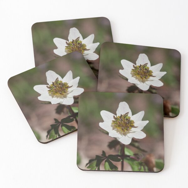 Item preview, The white anemone II designed and sold by Jouko Lehto Photography.