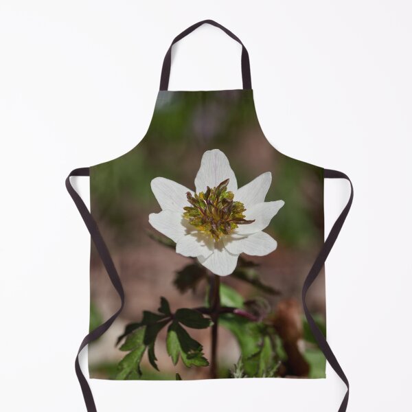 Item preview, The white anemone II designed and sold by Jouko Lehto Photography.