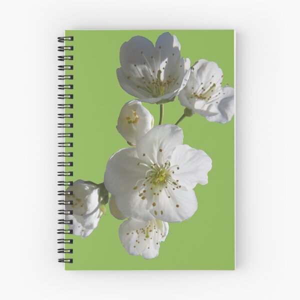 Item preview, cherries in blosssom on greenery designed and sold by AHELENE.