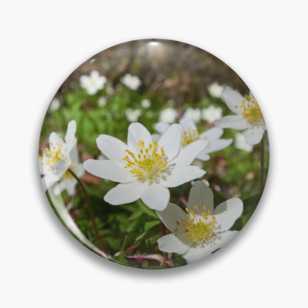 Item preview, In the woods down on the ground. Wood anemone designed and sold by Jouko Lehto Photography.