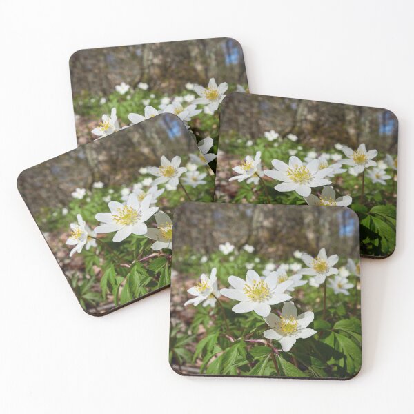 Item preview, In the woods down on the ground. Wood anemone designed and sold by Jouko Lehto Photography.