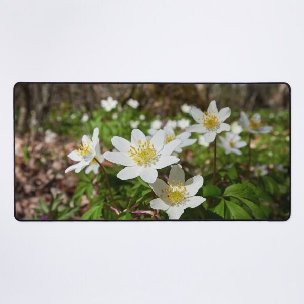 Item preview, In the woods down on the ground. Wood anemone designed and sold by Jouko Lehto Photography.