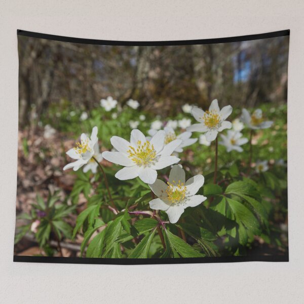 Item preview, In the woods down on the ground. Wood anemone designed and sold by Jouko Lehto Photography.