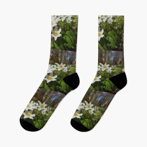 Item preview, In the woods down on the ground. Wood anemone designed and sold by Jouko Lehto Photography.