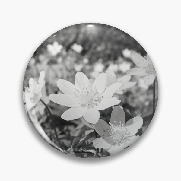 Item preview, In the woods down on the ground. Wood anemone bw designed and sold by Jouko Lehto Photography.