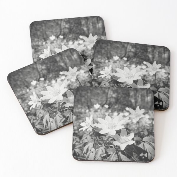 Item preview, In the woods down on the ground. Wood anemone bw designed and sold by Jouko Lehto Photography.
