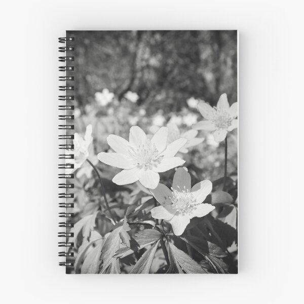 Item preview, In the woods down on the ground. Wood anemone bw designed and sold by Jouko Lehto Photography.
