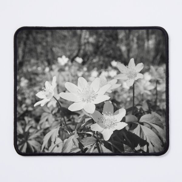 Item preview, In the woods down on the ground. Wood anemone bw designed and sold by Jouko Lehto Photography.
