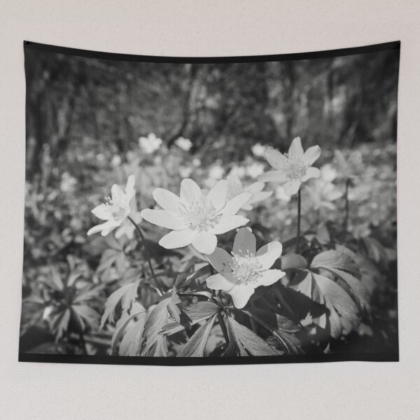 Item preview, In the woods down on the ground. Wood anemone bw designed and sold by Jouko Lehto Photography.