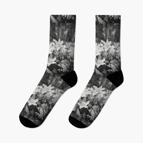 Item preview, In the woods down on the ground. Wood anemone bw designed and sold by Jouko Lehto Photography.