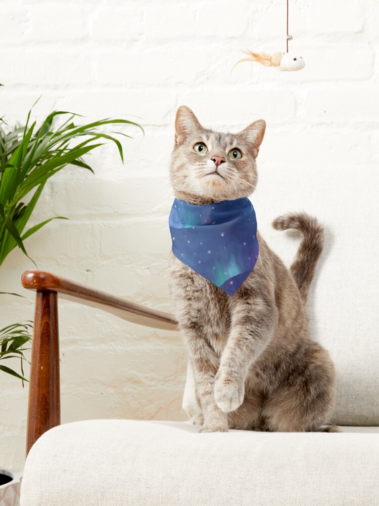 Alternate view of Aurora borealis Pet Bandana