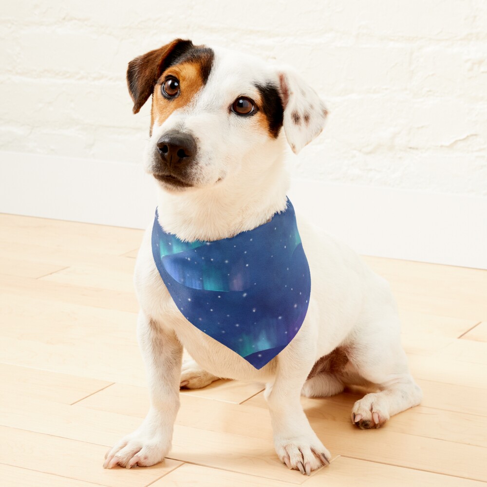 Aurora borealis Pet Bandana
