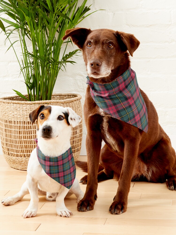 Vintage Christmas Plaid Pet Bandana for Sale by plaidwerx Redbubble