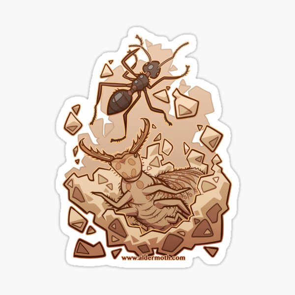Antlion Sticker