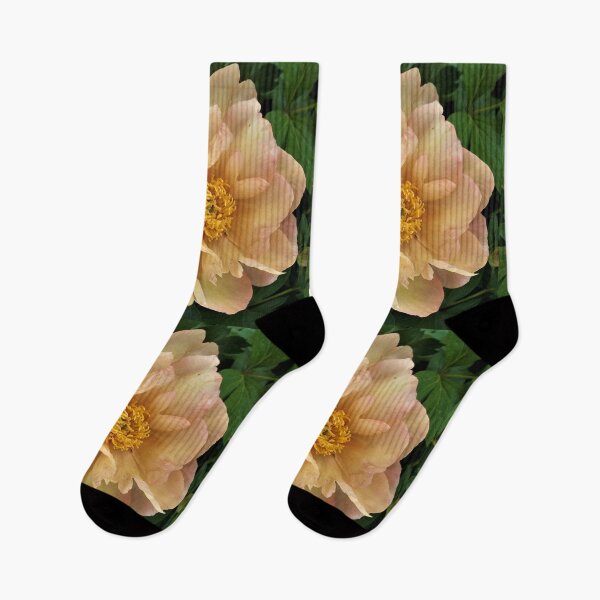 Item preview, Yellow Orange Peony designed and sold by Scott and Mary Schneider art_photography.