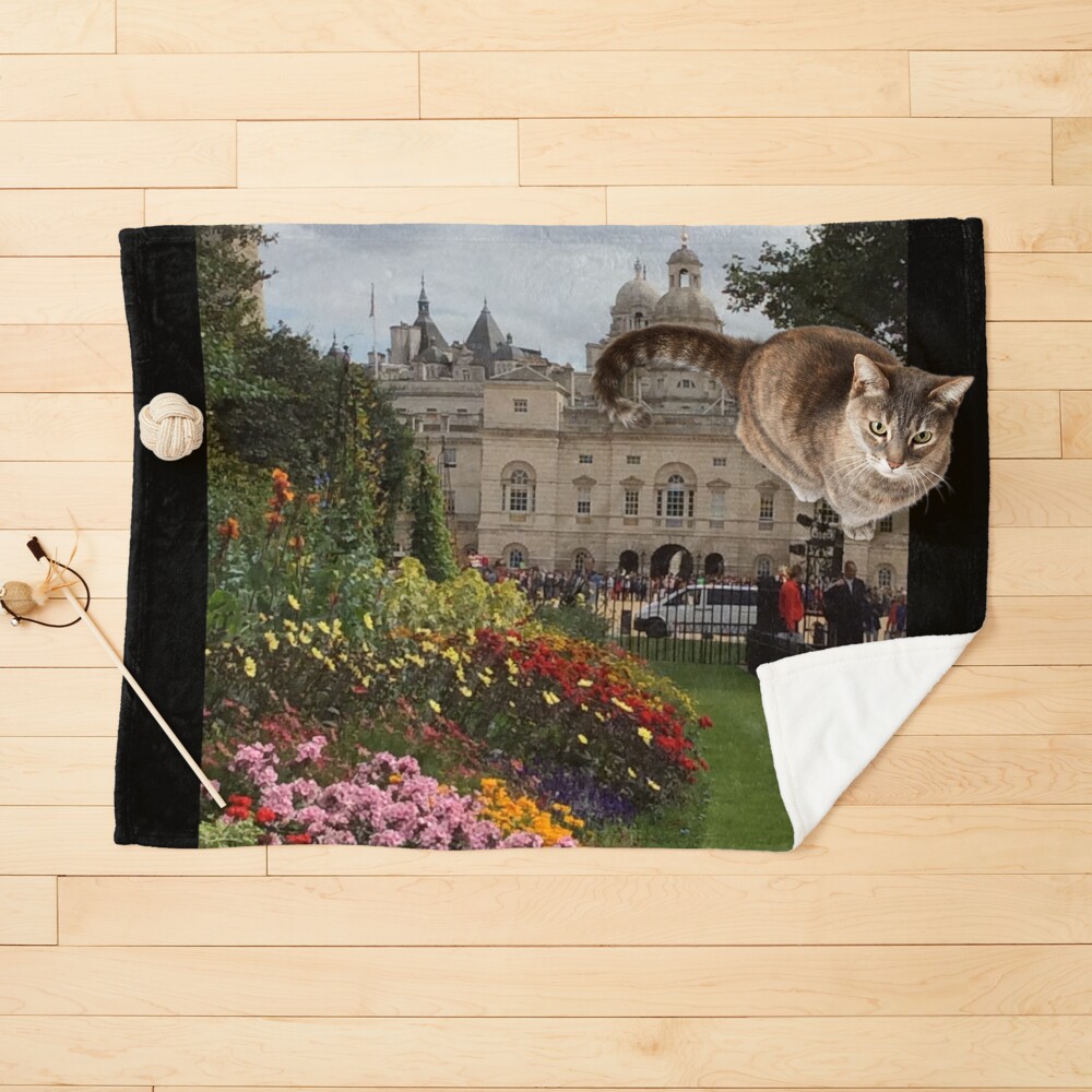 Item preview, Pet Blanket designed and sold by roggcar.