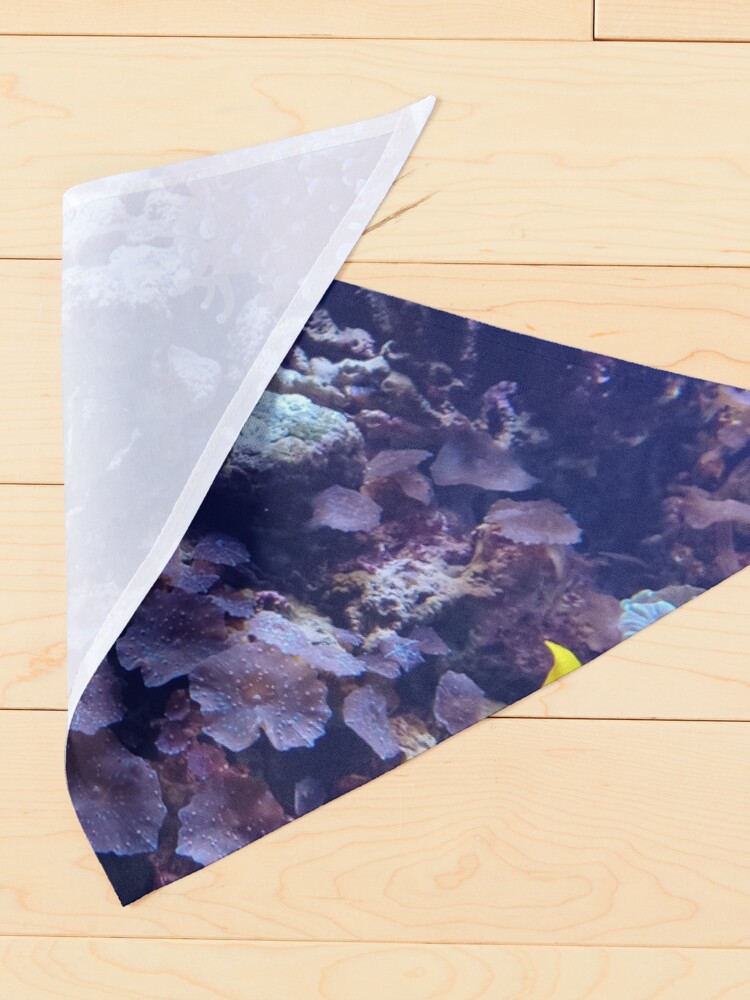 Thumbnail 4 of 6, Pet Bandana, Tropical sunfish in coral designed and sold by Chrissy34780.
