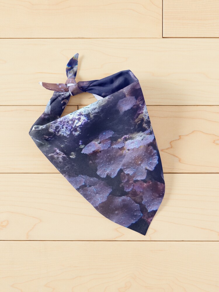 Thumbnail 2 of 6, Pet Bandana, Tropical sunfish in coral designed and sold by Chrissy34780.