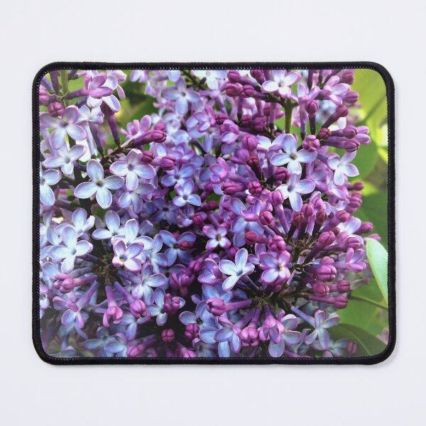 Item preview, Lilacs (from E and J) designed and sold by Scott and Mary Schneider art_photography.
