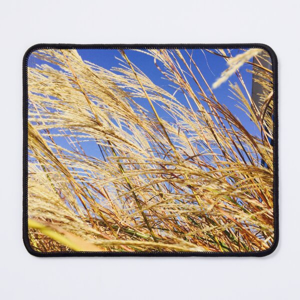 Item preview, Silver Grass  designed and sold by zwrr16.
