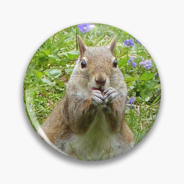 Item preview, Squirrel Amongst Wild Violets designed and sold by Frankie Cat Photography.