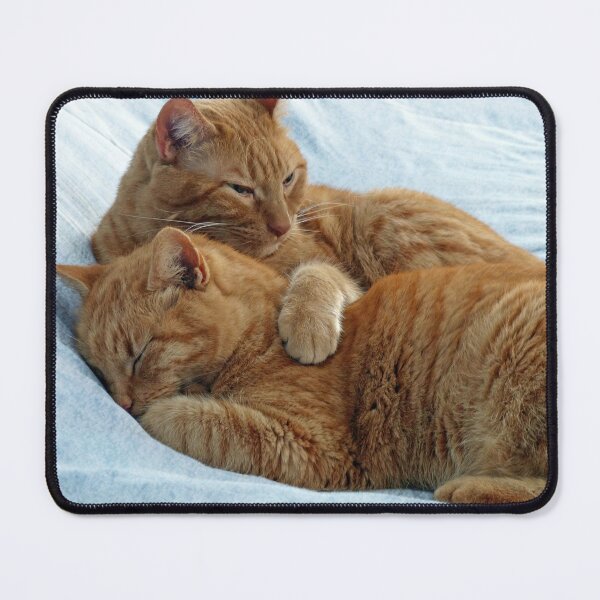 Item preview, Brotherly Love designed and sold by Frankie Cat Photography.