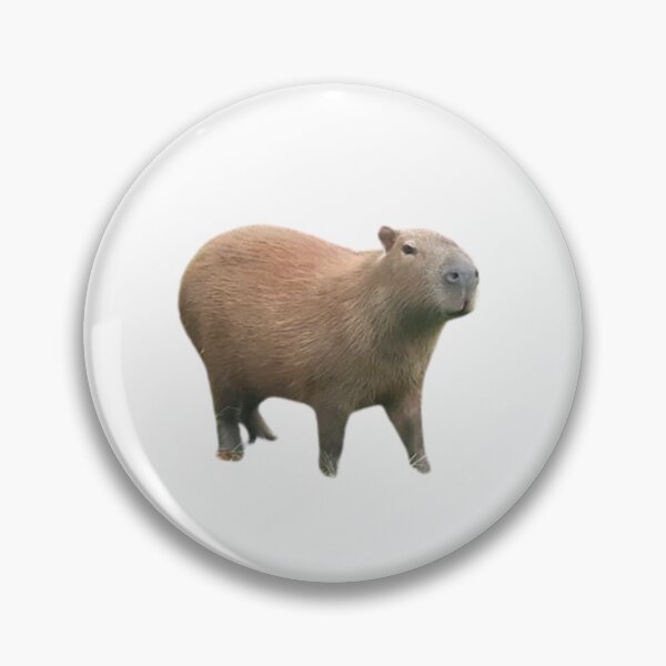 Item preview, Capybara Dude designed and sold by MemeDealer3.