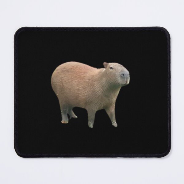 Item preview, Capybara Dude designed and sold by MemeDealer3.