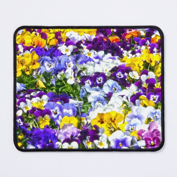 Item preview, Pansies Pansies Pansies designed and sold by Frankie Cat Photography.