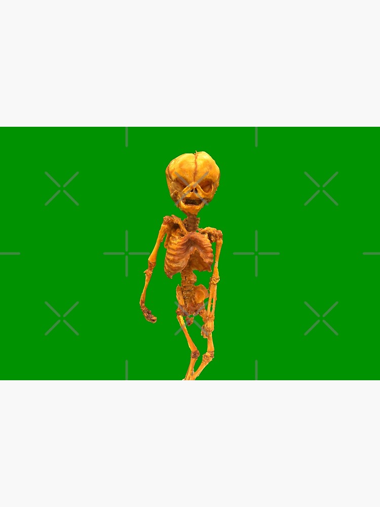 "THE FUN CLUB MEMBER 2 SKULL DEAD SKELETON" Poster for Sale by