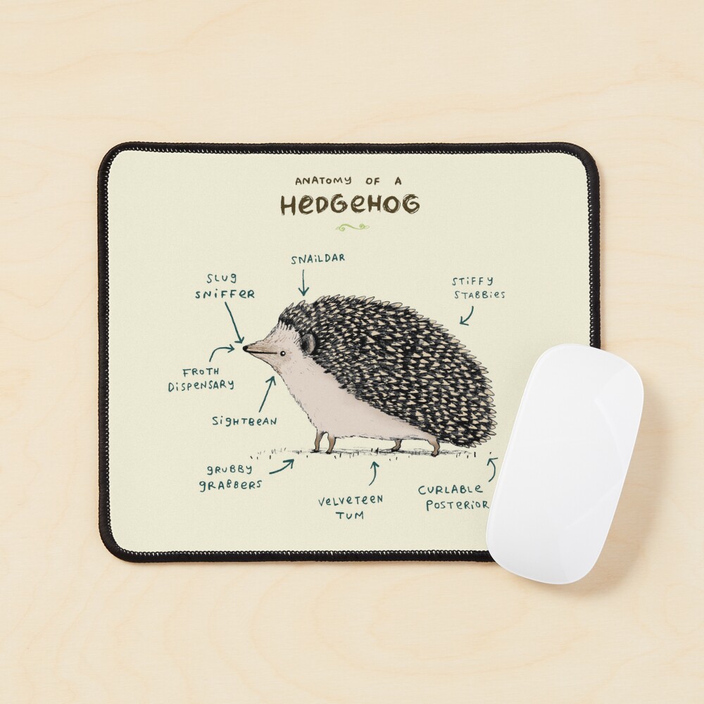 Anatomy of a Hedgehog Mouse Pad