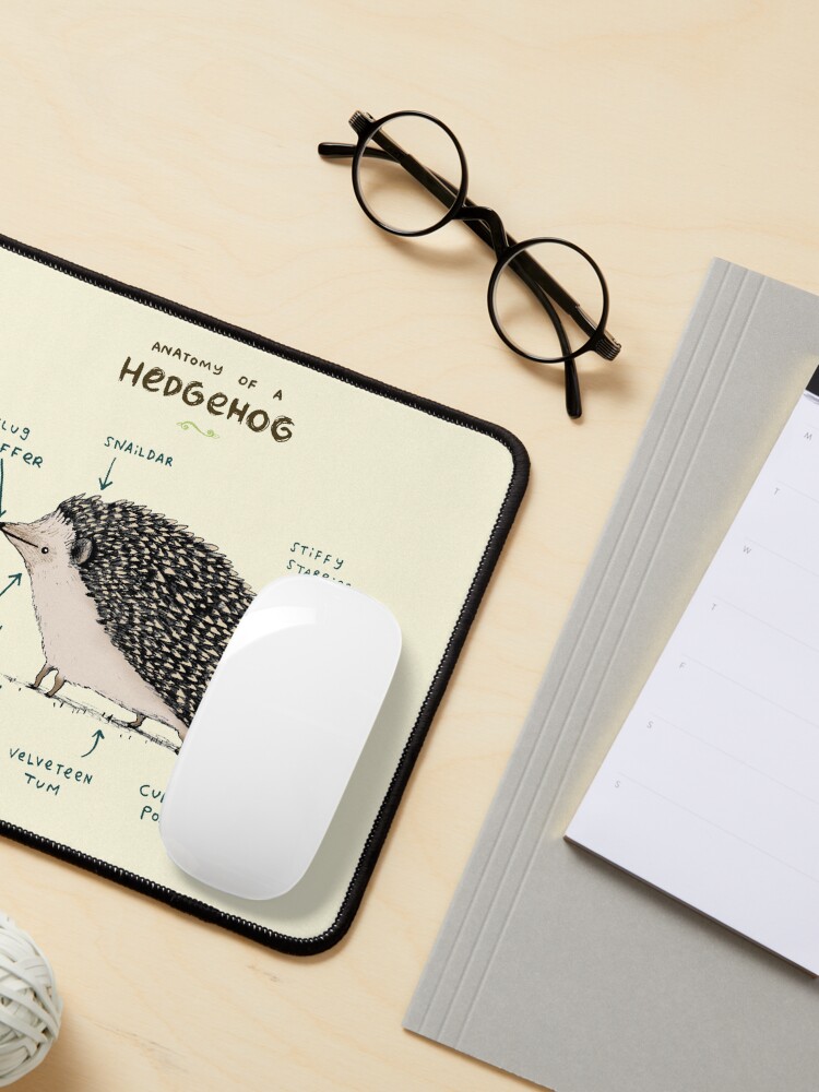 Alternate view of Anatomy of a Hedgehog Mouse Pad