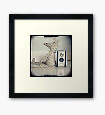 Mouse and camera Framed Print