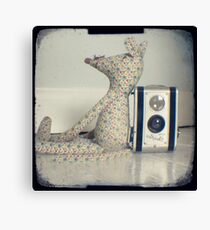 Mouse and camera Canvas Print