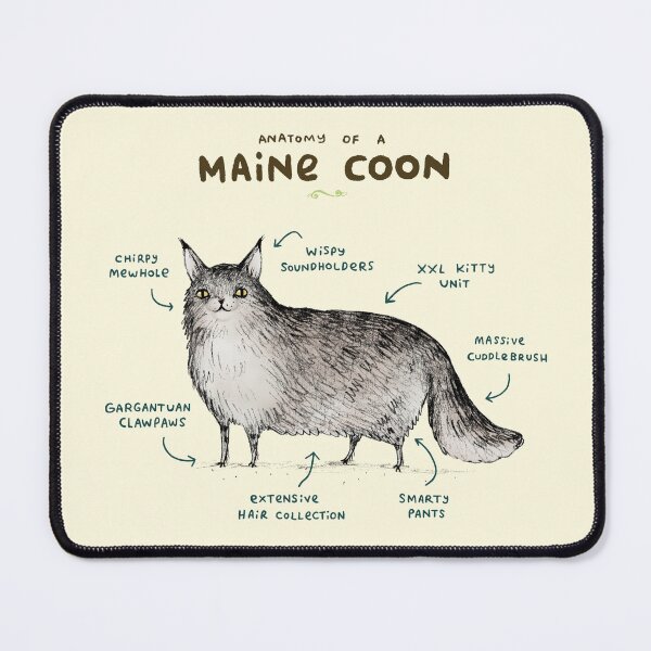 Item preview, Anatomy of a Maine Coon designed and sold by SophieCorrigan.