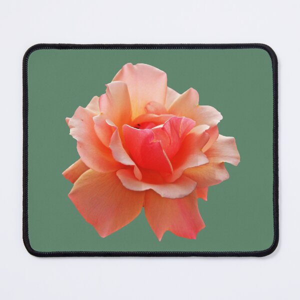 Item preview, Pink Rose Blooming designed and sold by Anna Lemos.