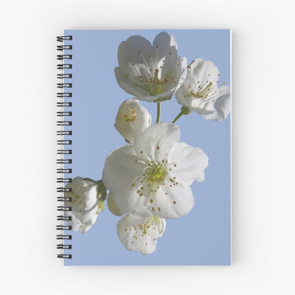 Item preview, cherries in blosssom on blue serenity designed and sold by AHELENE.