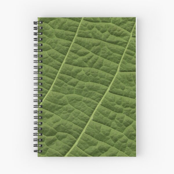 Item preview, Structure Tilia Leaf designed and sold by MrFaulbaum.