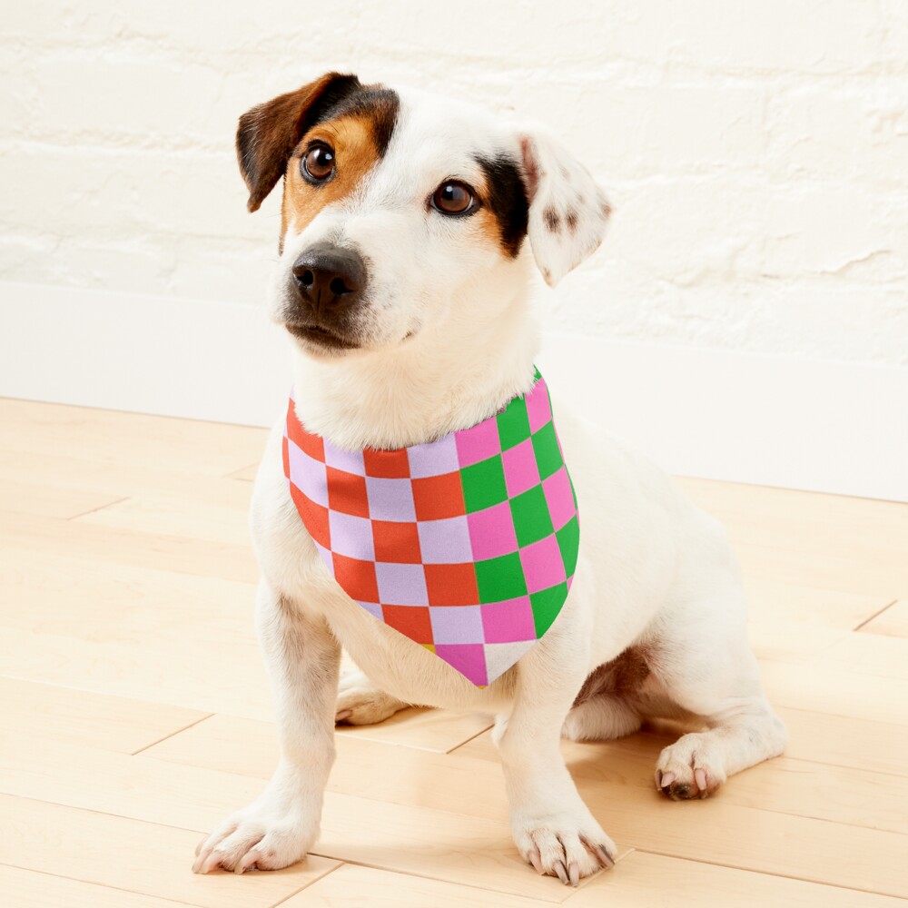 Happy patchwork Pet Bandana