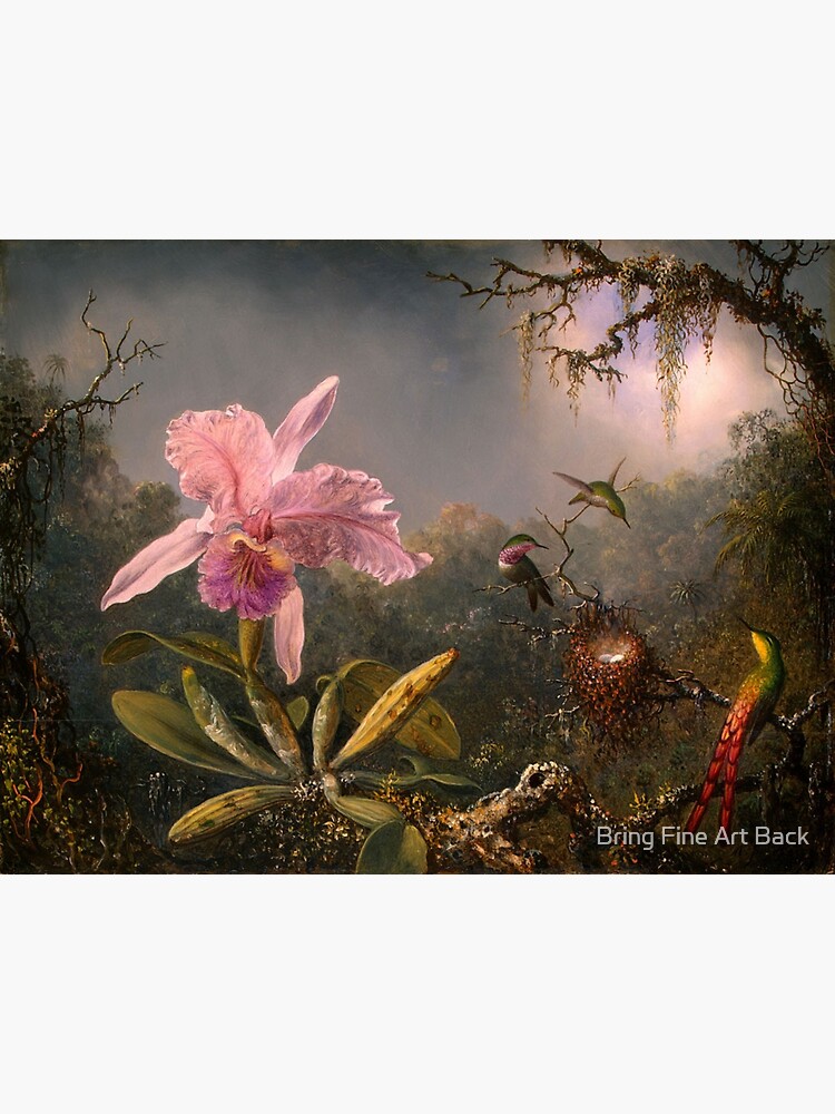 Discover Cattleya Orchid and Three Hummingbirds (1871) by Martin Johnson Heade Premium Matte Vertical Poster
