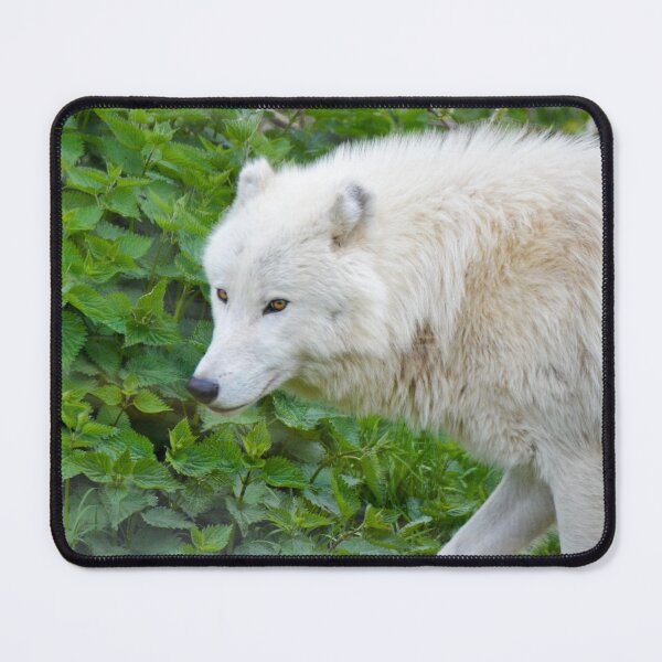 Item preview, Arctic Wolf designed and sold by Ksswaden.