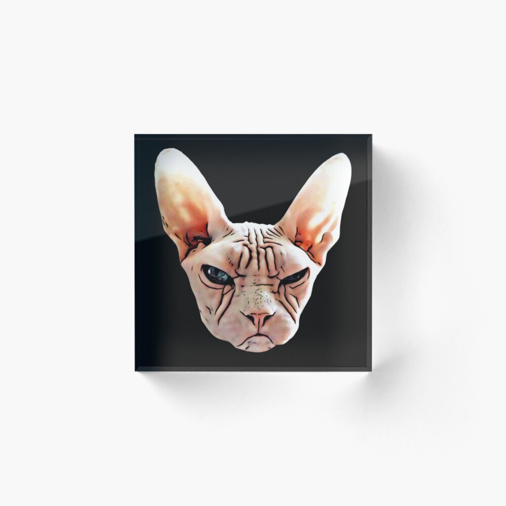 Item preview, Acrylic Block designed and sold by Phelps2020.