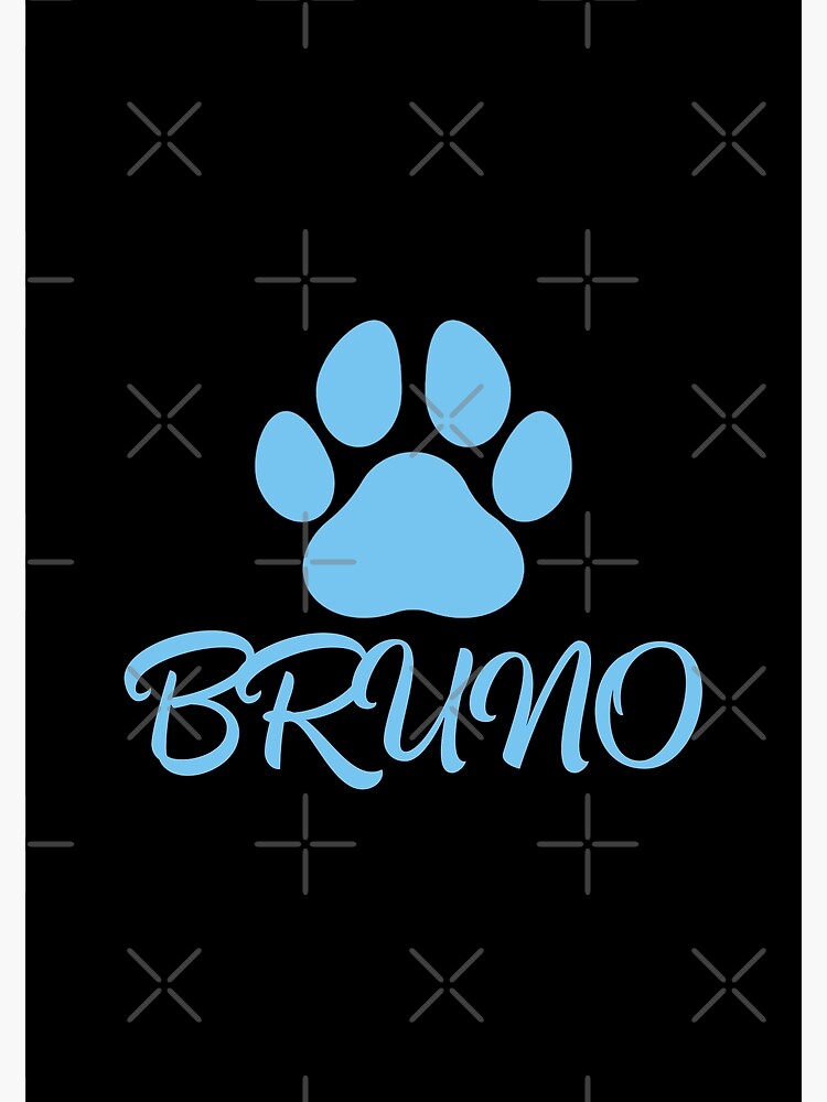 bruno es un buen nombre de perro