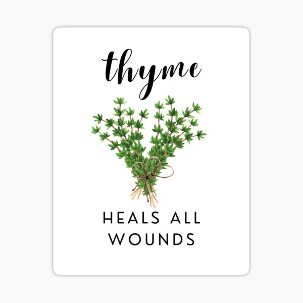 "Food Puns Thyme Heals All Wounds" Sticker by FishbowlDesign Redbubble