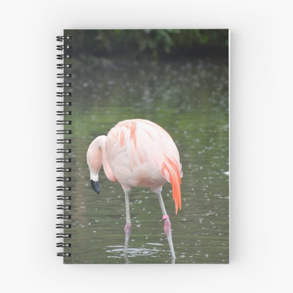 Item preview, Pink Flamingo designed and sold by Ksswaden.