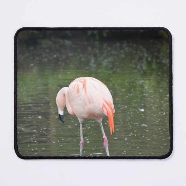 Item preview, Pink Flamingo designed and sold by Ksswaden.